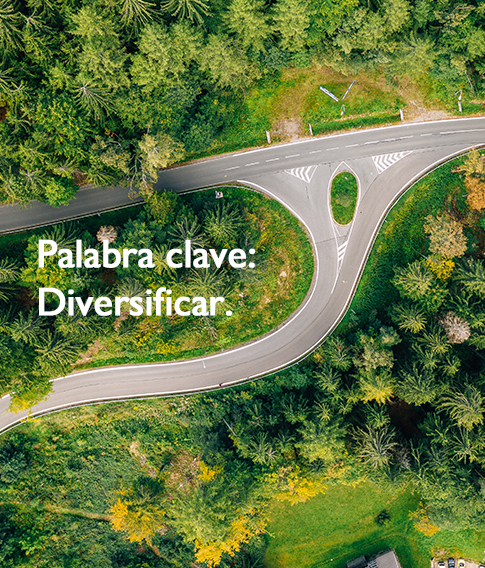 La diversificación